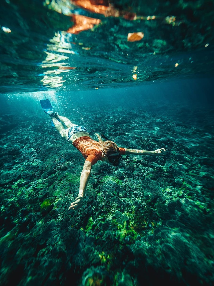 海洋，浮潜，旅行，浮潜，女人，鳍状肢，海洋，深海