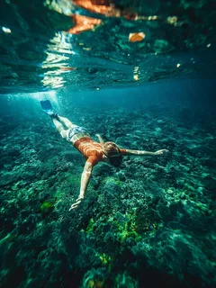 海洋,浮潜,旅行,浮潜,女人,鳍状肢,海洋,深海 海洋,浮潜,旅行,浮潜,女人,鳍状肢,海洋,深海