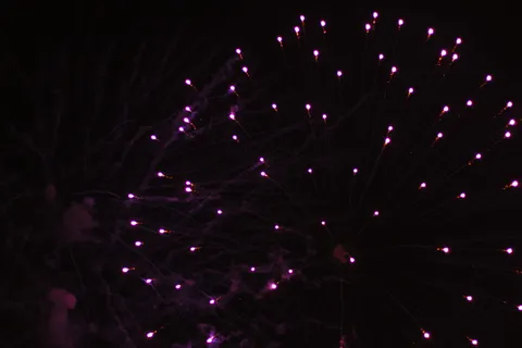 烟花、爆炸、灯光、11月、篝火、夜晚、5日、照明 烟花、爆炸、灯光、11月、篝火、夜晚、5日、照明