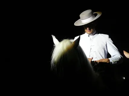 马，骑手，马术，马，骑手，帽子，黑色背景，仅限一人，成年