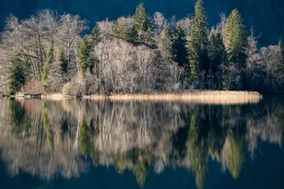 湖，岛，纹影，沃思岛，水，景观，水，反射