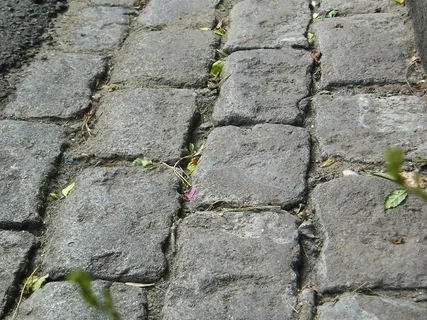 街道、adoquin、纹理、地板、铺路石、土壤、道路、路面 街道、adoquin、纹理、地板、铺路石、土壤、道路、路面
