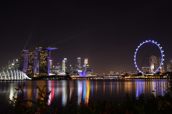 伦敦城天际线，夜晚，滨海湾，海湾花园，新加坡，花园，五彩缤纷，建筑