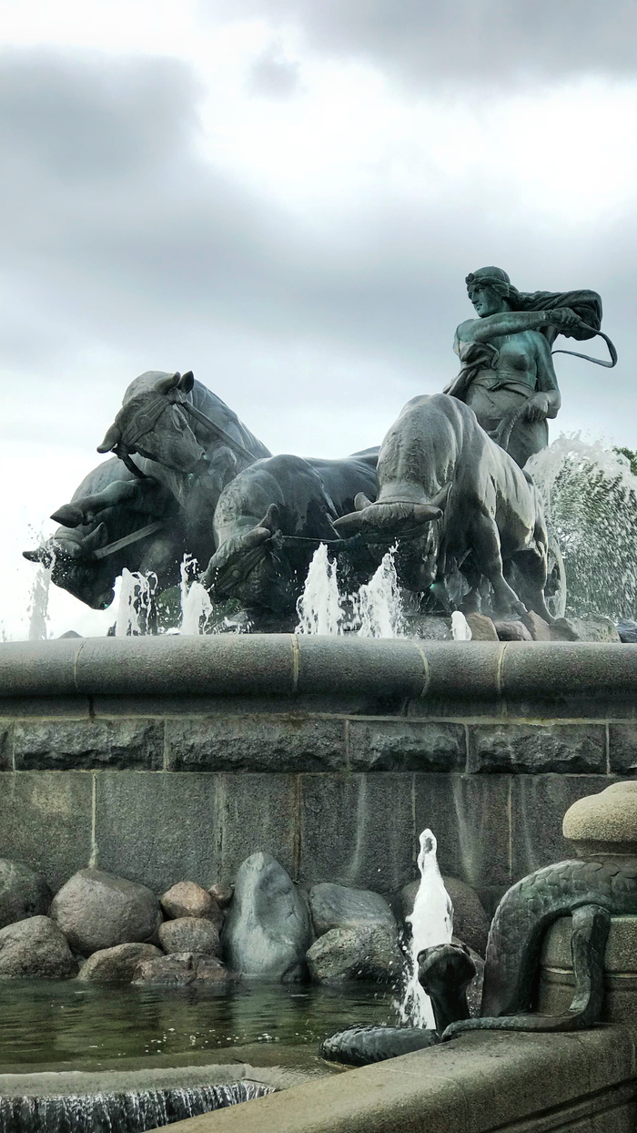 水，丹麦，人，人，københavn k，gefion喷泉，动物，鸟