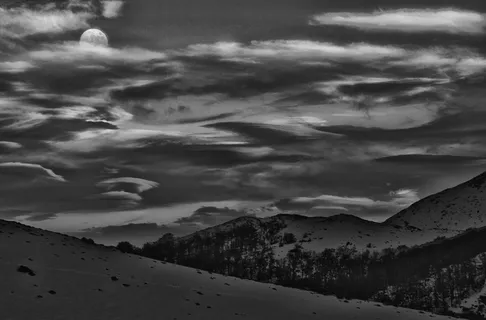 树木环山的灰度照片