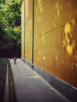 蹒跚学步，走路，米色，油漆墙，男孩，旁边，棕色，油漆