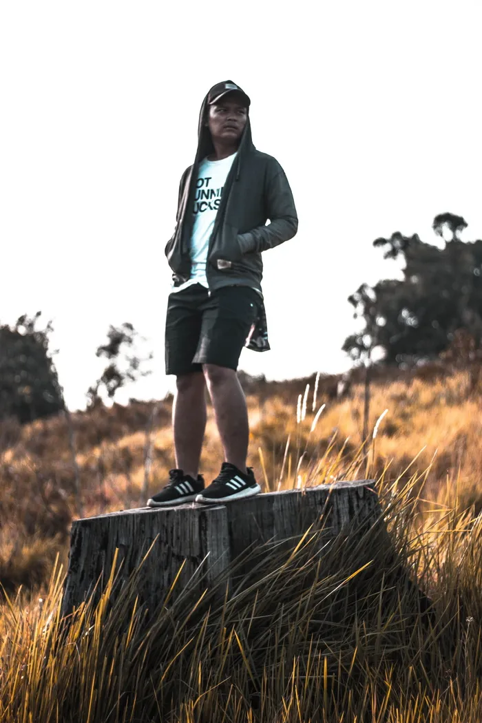 站在树桩上穿着拉链连帽衫的男子