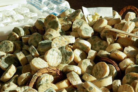 奶酪，山羊，市场，农产品，大量物品，丰富，选择，没有人