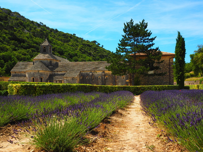 灰色、棕色、房子、山、塞南克修道院、修道院、修道院、塞南克圣母院