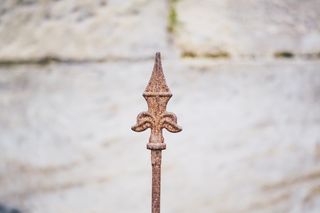 Brown Fleur De Lis Final 的焦点摄影