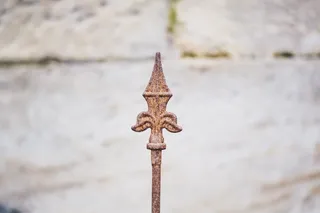 Brown Fleur De Lis Final 的焦点摄影