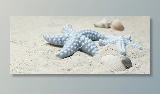 蓝色，星鱼，白色，沙子，海星，贻贝，瓷器，瓷海星