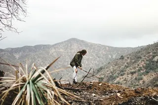 女人，站着，山峰，灰色，夹克，山，人，女孩
