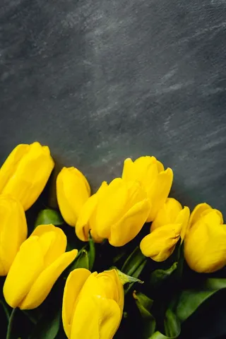 灰色背景上的彩色花朵，带有复制空间