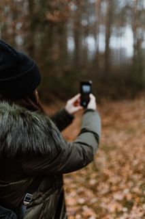 秋天在雾天向森林走去