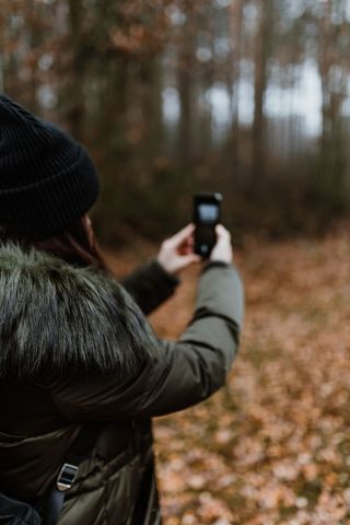 秋天在雾天向森林走去