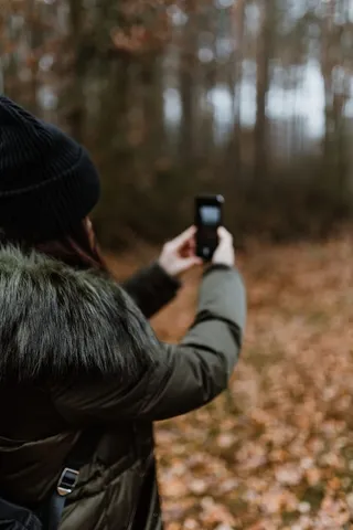 秋天在雾天向森林走去