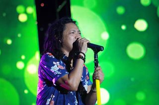 音乐会、雷鬼、音乐、聚会、现场、演出、音乐家、乐队