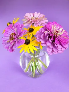 花,自然,花瓣,植物,花卉,大丽花,凤仙花,粉色 花,自然,花瓣,植物,花卉,大丽花,凤仙花,粉色