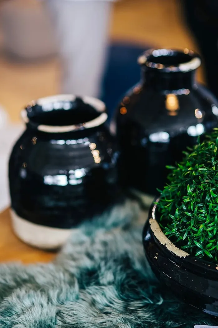 绿色植物，有黑色的花盆和柔软的青色地毯