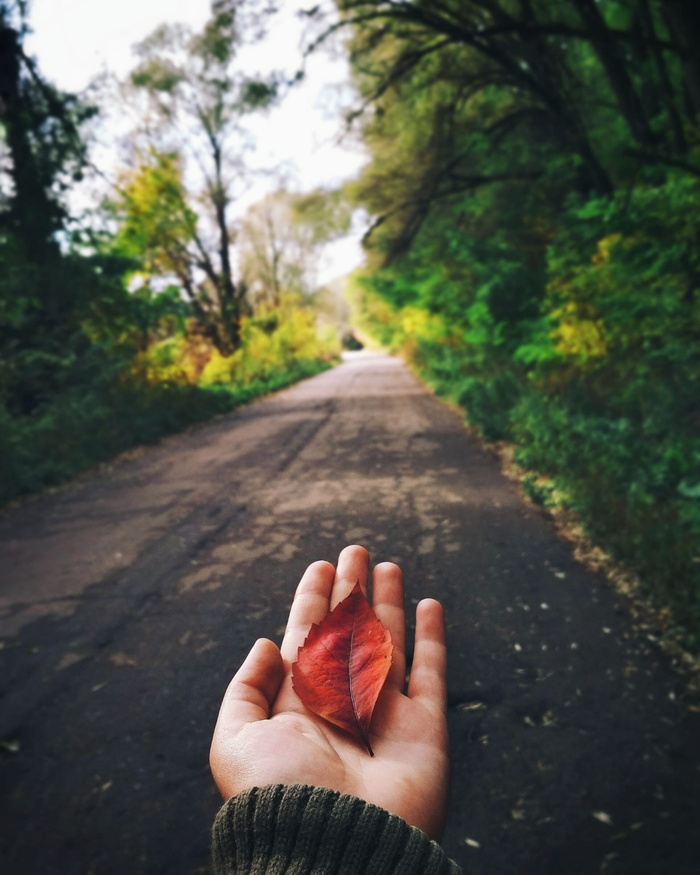道路，自然，户外，方向，锁屏壁纸，人手，菜鸟图库，手
