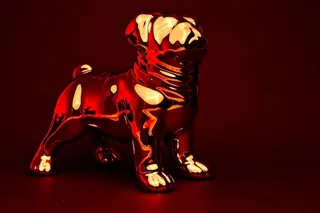狗、铬、反射、反射、墙纸、红色、工作室快照、彩色背景