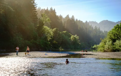 美国, 根维尔, 夏天, 人, 家庭, 游泳, 森林, 松树