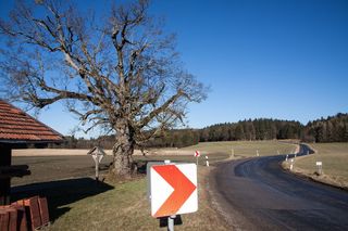 盾牌、道路标志、曲线、风险、交通标志、箭头、道路、警告