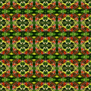 图案，红，绿，黄，黑，孔雀蝴蝶，几何，背景