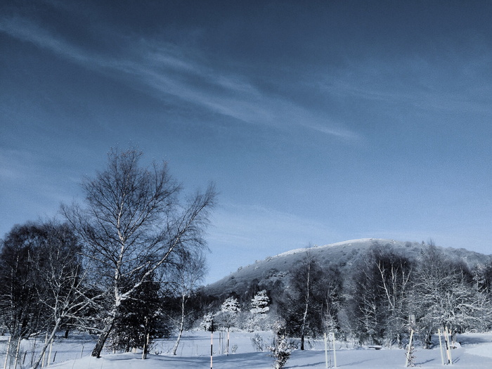 mountain marche walk puy pariou goules nature lands cape paysage auvergne france massif central，雪、低温、冬季、树木、植物、天空、风景-自然