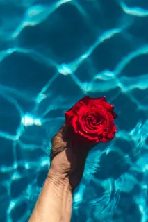 在一个温暖的夏日,一座游泳池的碧水上升起了一座清新的花园 在一个温暖的夏日,一座游泳池的碧水上升起了一座清新的花园
