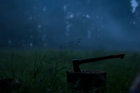 绿色，草，斧头，木头，自然，植物，土地，没有人