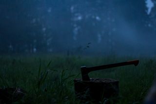 绿色，草，斧头，木头，自然，植物，土地，没有人