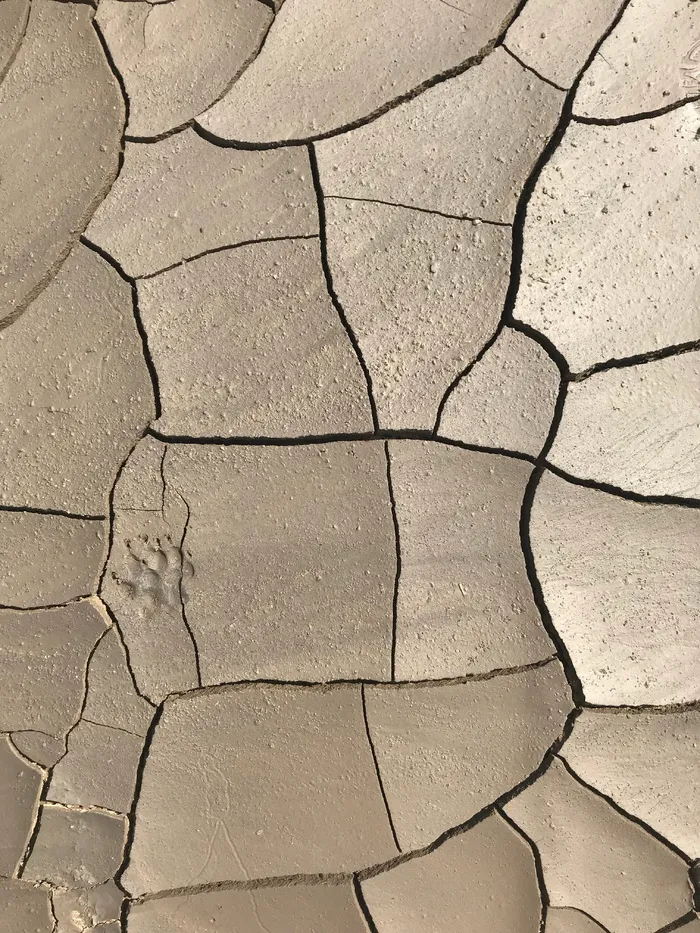 灰色栖息土壤，全框架，裂缝，背景，干燥，干旱，干旱气候，模式