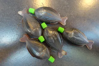 寿司、生鱼片、酱油、日本菜、午餐、外出就餐、无人、动物