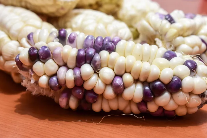 玉米、玉米芯、农业、美食、收获、静物画、特写、食品和饮料