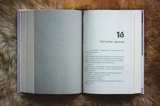 灰色打开书，书，白色，皮肤，毛皮，阅读，白色，皮肤，最后一节课