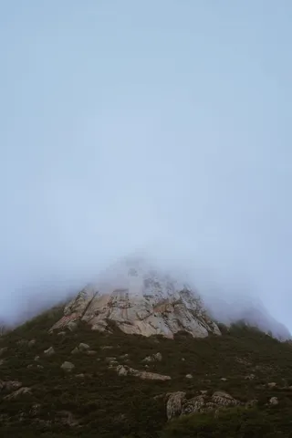 墨西哥, 佩尼亚德伯纳尔, 岩石, 冷, 高, 雾, 白, 对比