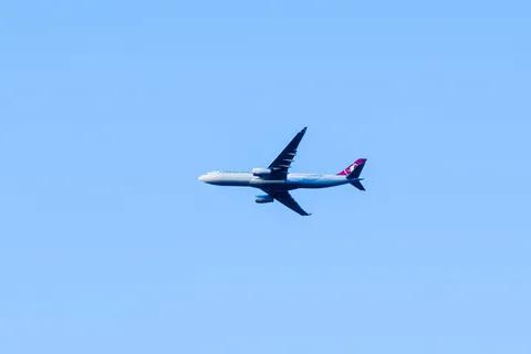 白色,黑色,客机,天空,土耳其航空公司,飞机,大型,在空中 白色,黑色,客机,天空,土耳其航空公司,飞机,大型,在空中