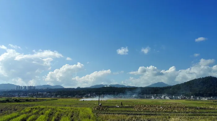 叶田，国家，蓝天，天空，环境，景观，农业，土地