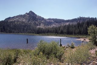 美国, 约翰斯维尔, 尤里卡湖, 加利福尼亚州, 梅花-尤里卡, 植物, 水, 树