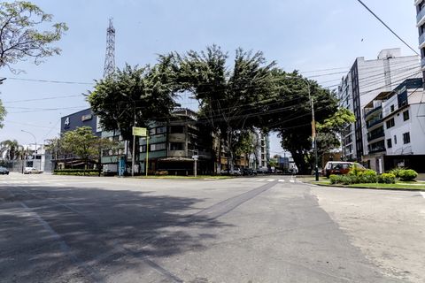 秘鲁、巴兰科区、空城、censo、hipster、利马、晴天、街道