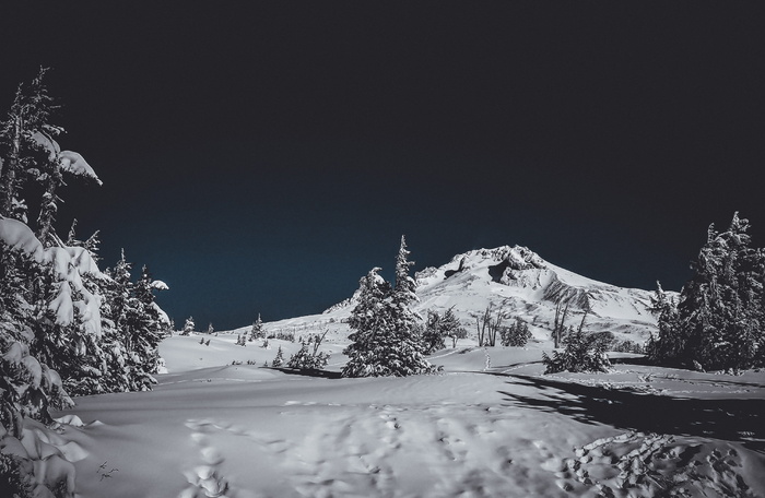 美国, *营地, 林线小屋和滑雪区, 山, 胡德山, 滑雪, 滑雪板, 雪