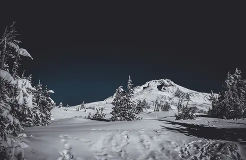 美国, *营地, 林线小屋和滑雪区, 山, 胡德山, 滑雪, 滑雪板, 雪 美国, *营地, 林线小屋和滑雪区, 山, 胡德山, 滑雪, 滑雪板, 雪