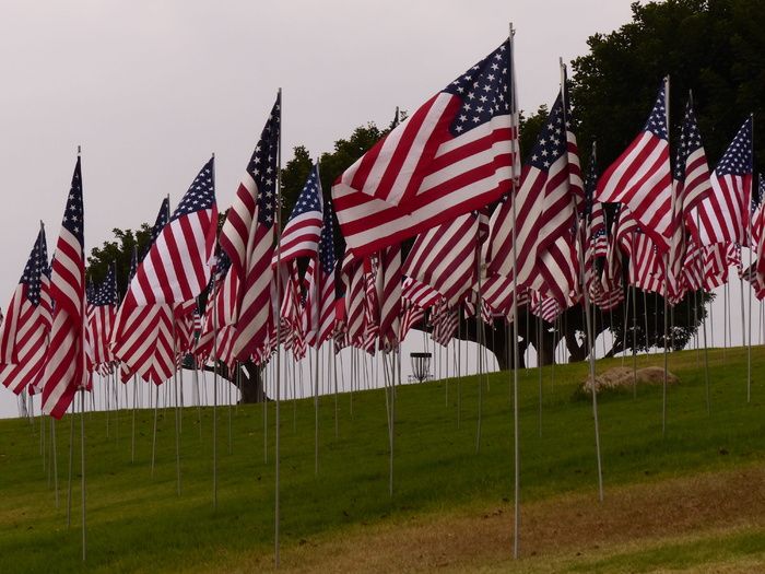 9月11日，9-11，国旗，纪念，记住，佩珀丁，国旗，爱国主义