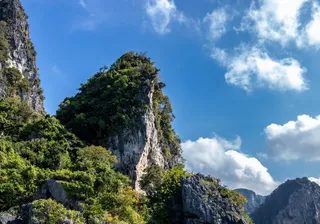 山，顶，树，自然，哇，风景，旅游，景观