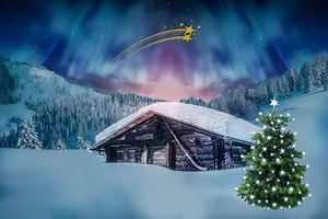 房子，有盖，雪，图案，圣诞节，圣诞节主题，冬天，北极光