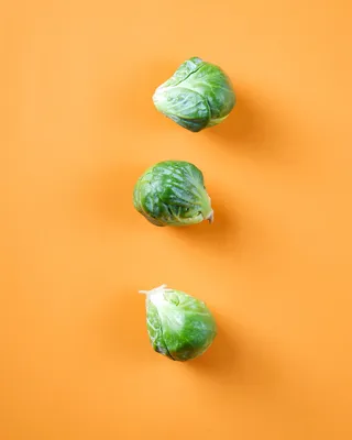 三种绿色卷心菜