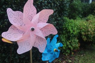 美国，教堂山，蓝色，粉色，灌木，风车，无人，聚焦前景