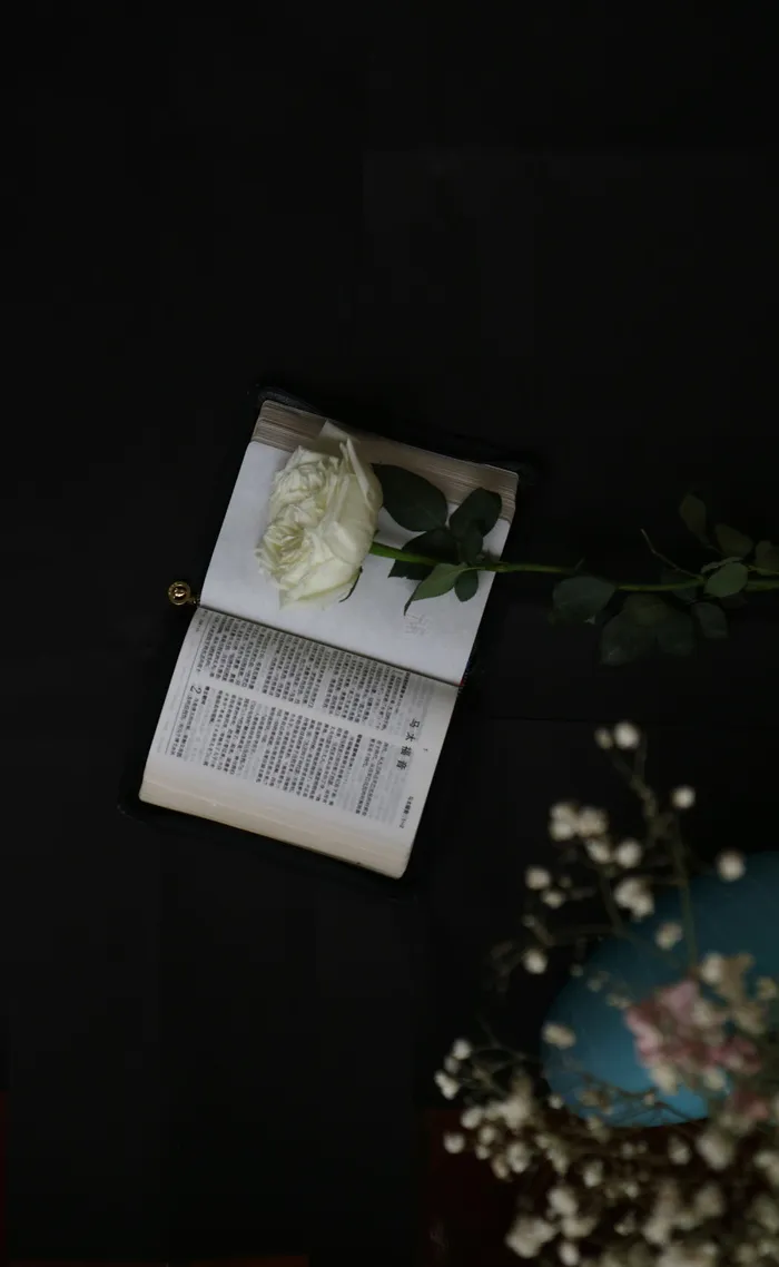 书本上的白花